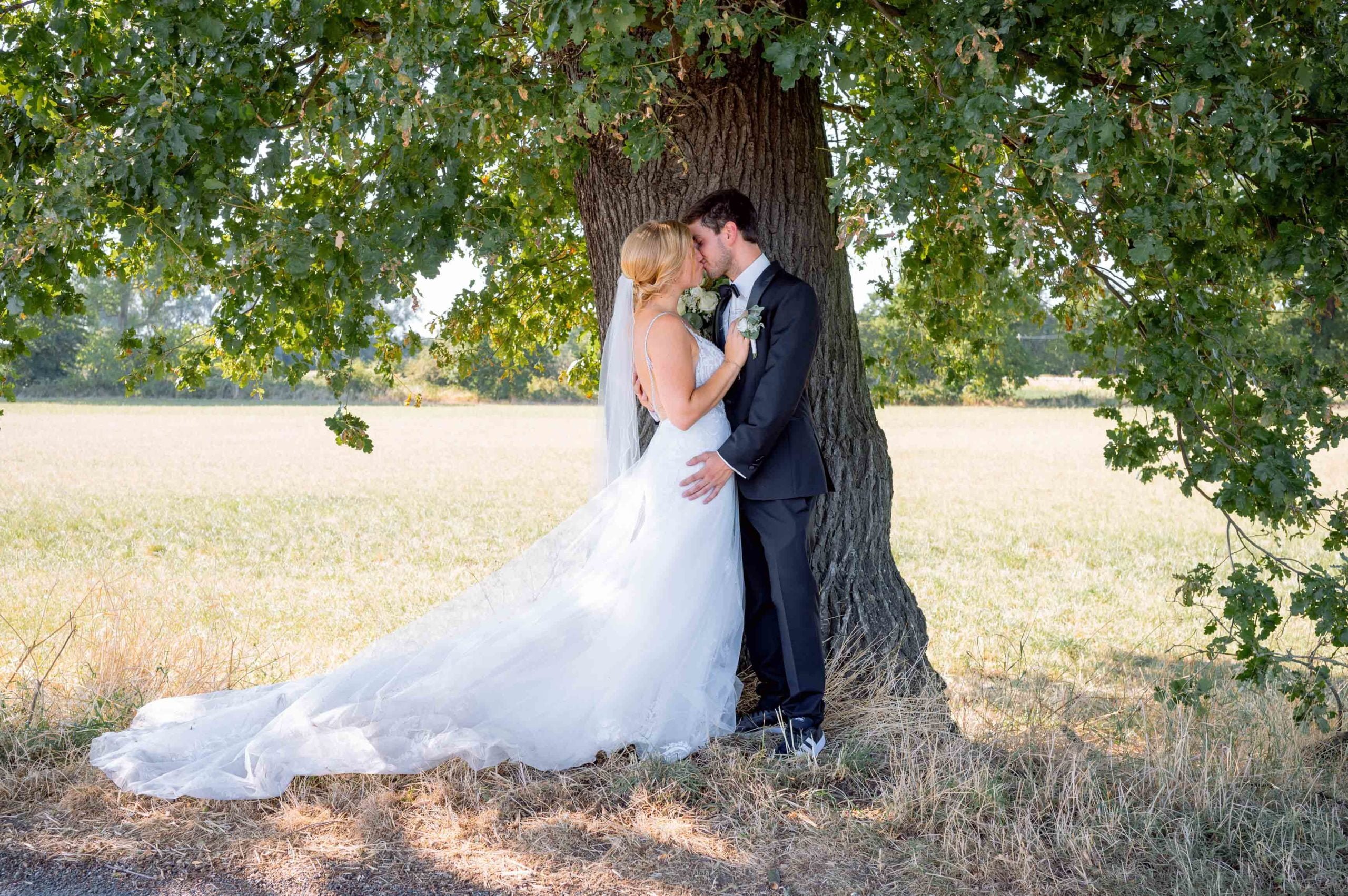 Hochzeitsfotoshooting unter einem Baum in der Natur.